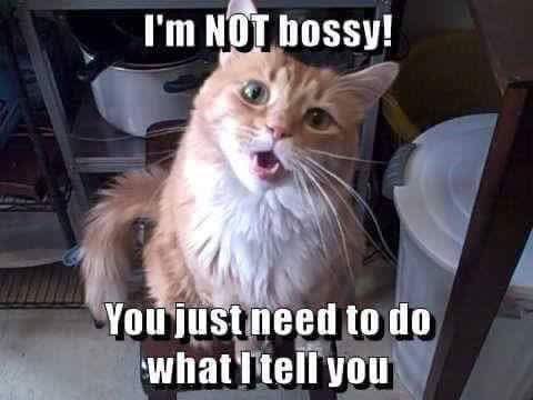 bossy - herrisch, rechthaberisch