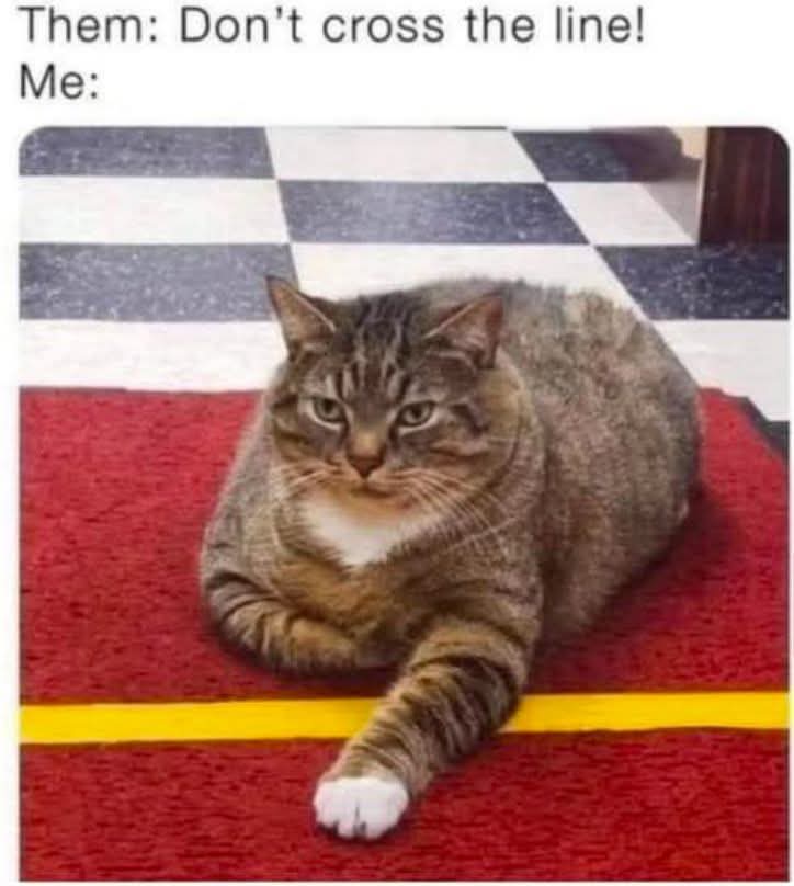 cross - überqueren, kreuzen, durchqueren