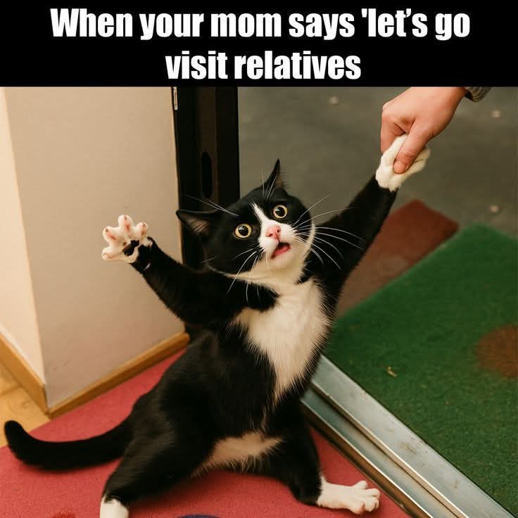 when - wenn, als, sobald