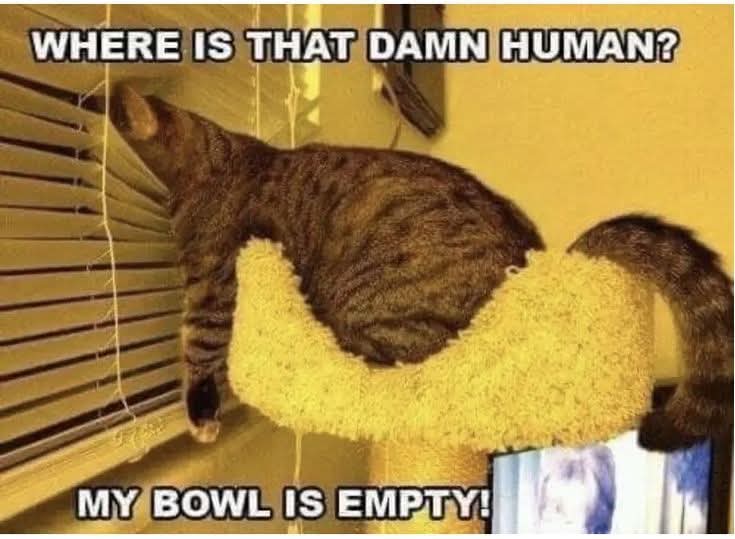 bowl - Schüssel, Schale, Kugel