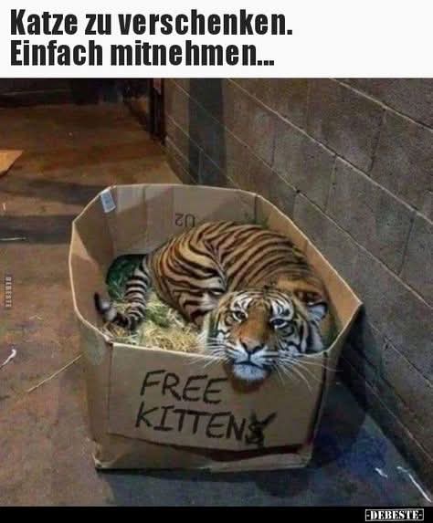 free - frei, kostenlos, freilassen